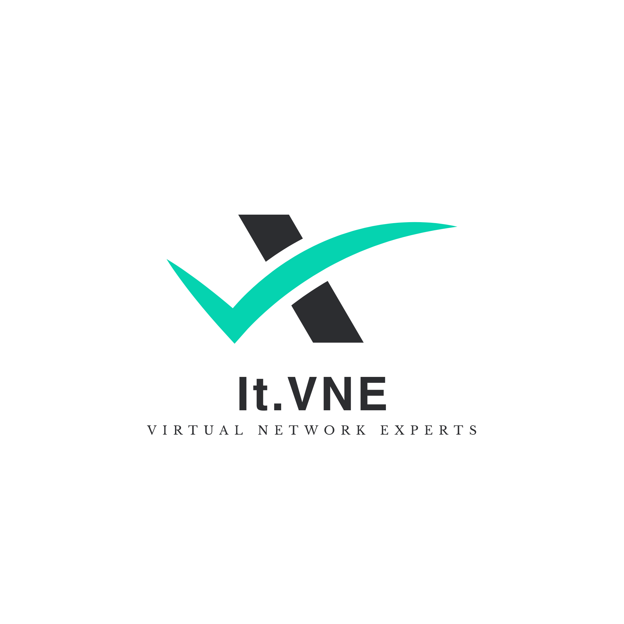 It.VNE Logo